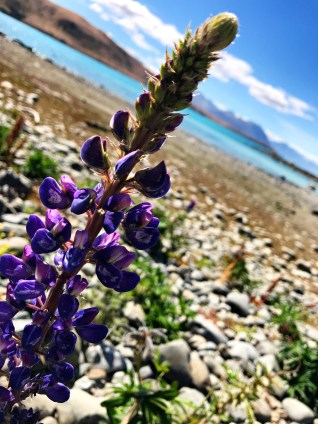 8mbERm%eQ%WNqq2SFxcc6g